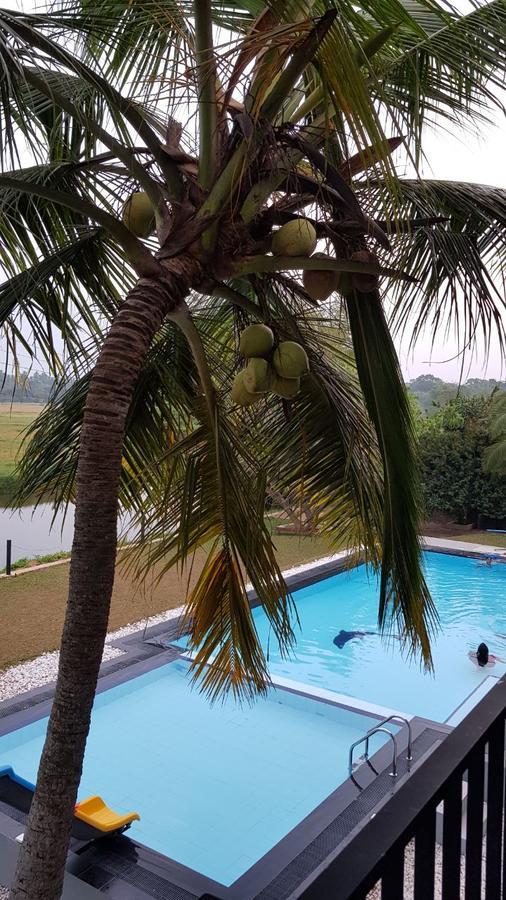 Grand Riverine Bed and Breakfast Kotugoda Exterior foto